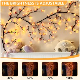 FNHMSL Cherry Enchanted Willow Vine Lights, 7.55FT 144LED 2PCS Pink Cherry Blossom Tree Branch Lights for Wall, Remote Timer,8 Light Model,Bedroom Wall Doors Wedding, Christmas, USB Battery Box