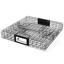 Rugged Ranch Squirrel Trap, Live Animal Catch & Release Cage, Squirrelinator, Black - Humane Indoor and Outdoor Catcher for Chipmunks and Squirrels