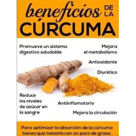 Curcuma Concentrado Con Pulpa D Fruta 400ml Shelo Nabel S621