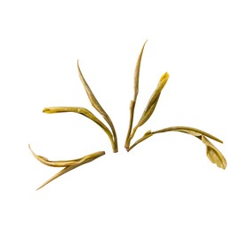 Anji Bai Cha Green Tea - Loose Leaves - Highest Quality Chinese Green Tea - Wellness Infusion (50 g)