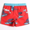 MaaMgic Boys' Summer Swimming Trunks Quick-Drying Board Shorts with Mesh