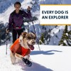 Ruffwear, Powder Hound Insulated, Water Resistant Cold Weather Jacket for
