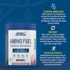 Applied Nutrition Amino Fuel EAA