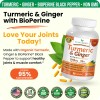 Nature's Branch Suplemento Cúrcuma Jengibre 90 Cápsulas