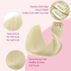 Pinkpearl Clip in Hair Extensions #60 Platinum Blonde Clip in