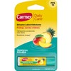 Carmex, Bálsamo Labial Hidratante Daily Care Tropicalcolada, Protege y Suaviza,