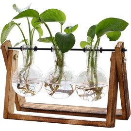 generic Plant Terrarium with Wooden Stand, Air Planter Bulb Glass Vase Metal Holder