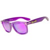 Retroxic Sunglasses for Men and Women, purple crystal