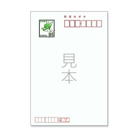 [Made in Tantan] Sympathy Postcard Set of 10, Includes Stamps, New Year's Cards, Printed Sentences to Quit New Year's Cards (k818 Camellia (10 Cards Made in Japan))