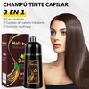 Champú Instant Hair Color para Cabello,Champú para Teñir el Cabello,
