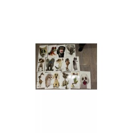 Twisted Whiskers Greeting Card w/ Envelope