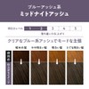 Liese Bubble Color Midnight Ash Hair Dye