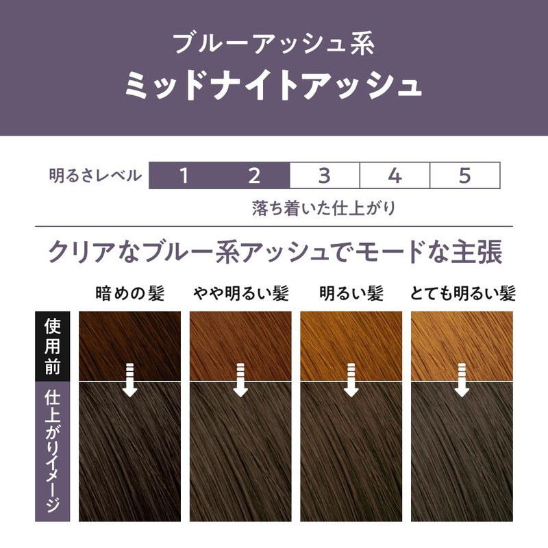 Liese Bubble Color Midnight Ash Hair Dye