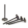 Intake & Exhaust Valves and Seal For Polaris Predator 500