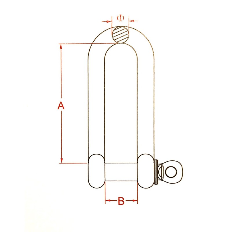 Stainless Steel 316 Long D Shackle 1/4" (6mm) Marine Grade