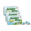 Easter Chocolate covered Mints Candy 3.5 OZ - 3 pack