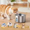 Cat Fountain Drinking Fountain for Cats