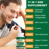 VITACRLLYNMN 700MG Sod Superoxide Dismutase Supplement - High Potency Antioxidant