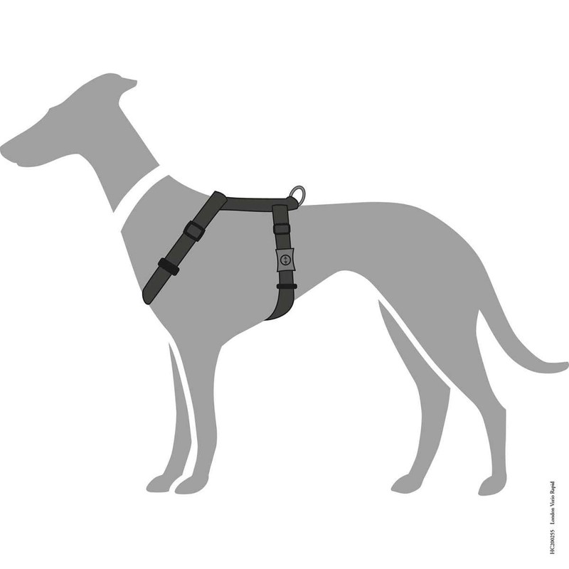 HUNTER Harness London Vario Rapid | Black | Size Mini