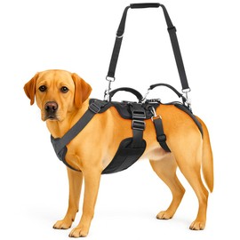 Dog Support Harness for Back Legs, Full Body Lifting Aid with Shoulder Strap & Rear Sling, Recovery Harness for Senior, Injured or Disabled Dogs, Ideal for Post Surgery and Daily Mobility (M)