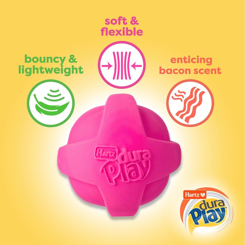 Hartz DuraPlay Bacon Scented Dog Toys, Large 1 Count, Colors