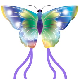 Butterfly Kite for Kids & Adults Easy to Fly, Large Kites for The Beach, Single Line Kite for Beginner, Come with 4 Long Tail and 300 FT String, Green