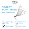 TEGAN LASH 500 Extensiones De Pestañas Promade Fans Volume, Pestañas