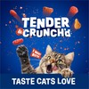 Purina Friskies Tender and Crunch'd With Flavors of Chicken, Beef,