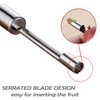 Corer and Pitter Set of 4, Multi-Function Corer and Pitter