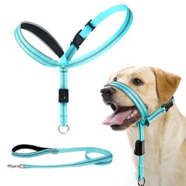 BARKLESS Dog Head Collar, Reflective Head Halter for Small Medium Large Dogs with Soft Padding, No Pull Dog Mouth Harness with Training Leash, Adjustable Muzzle Leash for Gentle Walking