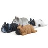 moin moin Figure Magnet, Dog, Dog, Fluffy, Bed, Realistic, Realistic