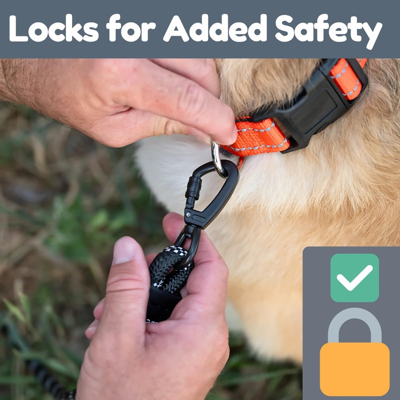 6 Foot Dog Leash, Two Extra Padded Handles, Locking Carabiner
