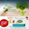 Freshness Retention Bag, Long-Lasting Vegetable Twister Lock, Medium Size, 15