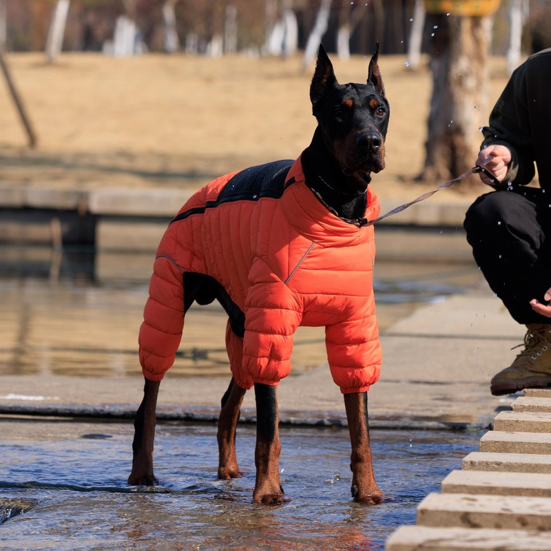 Dog Coat Dog Warm Jacket, 4 Legs Covered Waterproof Windproof