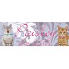 Laroc Cat Collar, Amico Paisley Cat Color, Pink, Safety Buckle,