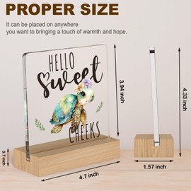 Sea Turtle Decor Gifts for House, Hello Sweet Cheeks Sign Bathroom Shelf Decor, Funny Restroom Decorative Plaque Small Cute, Toilet Rules Shelf Decoration, Toilet Shelves Accessory