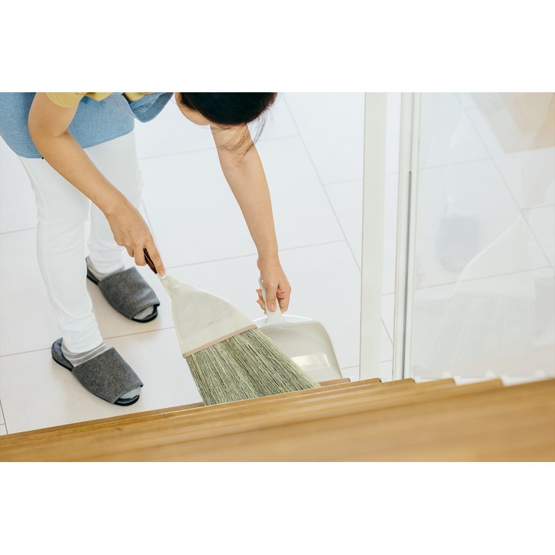Yamazaki Sangyo Hand Dustpan 2989.jp+ Medium Home Dust Plastic 181452