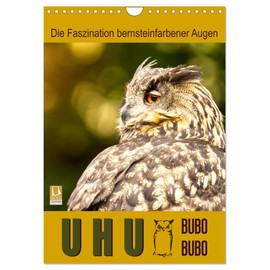 Uhu, die Faszination bernsteinfarbener Augen (Wandkalender 2025 DIN A4 hoch), CALVENDO Monatskalender [Calendar] Sabine Löwer