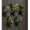 Acoustic Panel Plant Ring V2 Large Black Drill Free Mounting