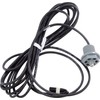 Sundance Spas Temp Sensor: 12' with Box End Connector 800