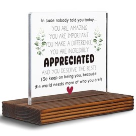 Inspirational Appreciation Gifts for Coworkers You Are Amazing Desk Decor Sign, Encouraging Gifts for Women Men Family Friends Teachers Thanksgiving Day Clear Desk Decor Sign Plaque EC100