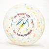 Wham-O Fastback Recycled Frisbee - Wright Life Design