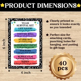 Team Survival Kit Gift Tag, Colorful Staff Appreciation Tags for Gift Bags, Welcome to The Team Gifts for Volunteers Employees - KA05