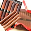 YOKUMOKU Chocolat Cigal, Pack of 6