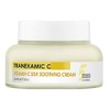 Tenzero Moist Glowing Oil-Free Cream Tranexamic Acid Vitamin C Silk
