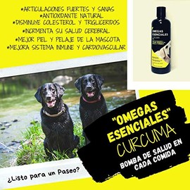 Aceite de Pescado y Cúrcuma orgánica 100% Natural para Perros y Gatos, Movilidad y articulaciones Fuertes y sanas (1000 ml)