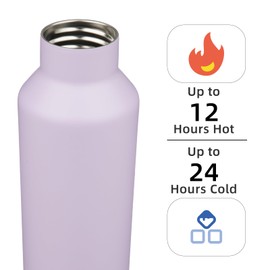 Insulated Water Bottle with Straw,17 OZ Double Wall Vacuum Stainless Steel Water Flask with 2 Lids,Purple
