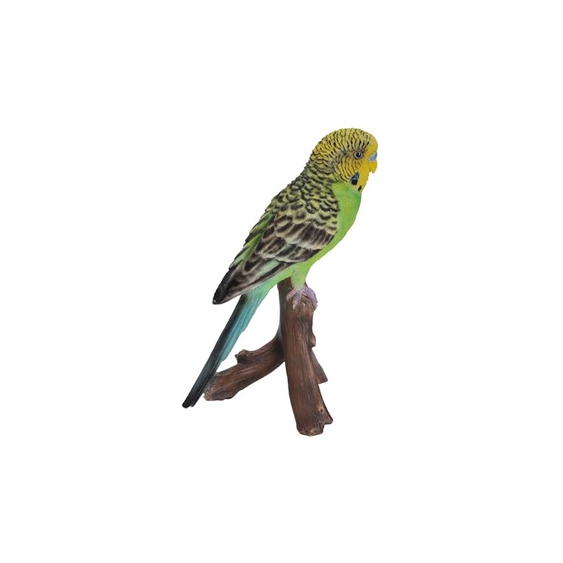 Green Budgerigar