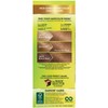 Garnier Nutrisse Haircolor - 70 Almond Creme (Dark Natural Blonde)