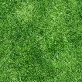 SeedRanch Pensacola Bahia Grass Seed  - 10 Lbs.